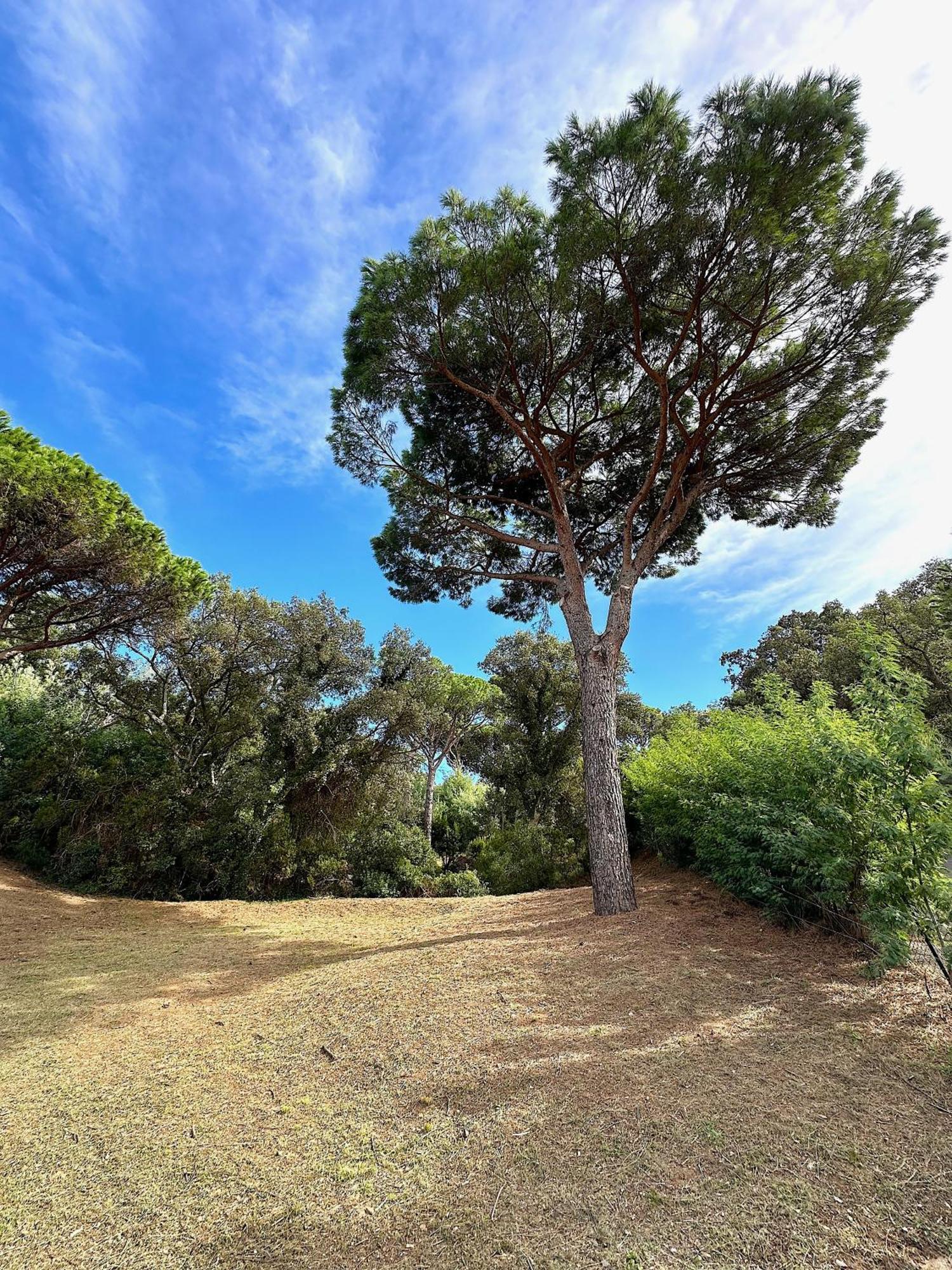Villa Boca A Gigaro - Avec Vue Et Piscine Chauffee ラ・クロワ・ヴァルメ エクステリア 写真